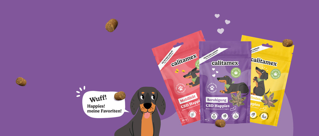 Natürliche Verbesserung der Gesundheit deines Lieblings mit Calitamex CBD Ölen und CBD Happies