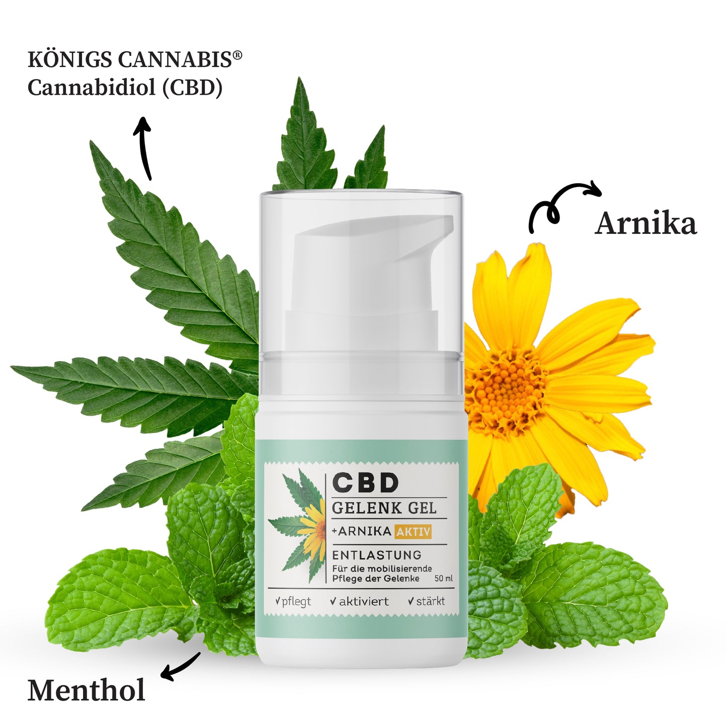 CBD Gelenk Gel